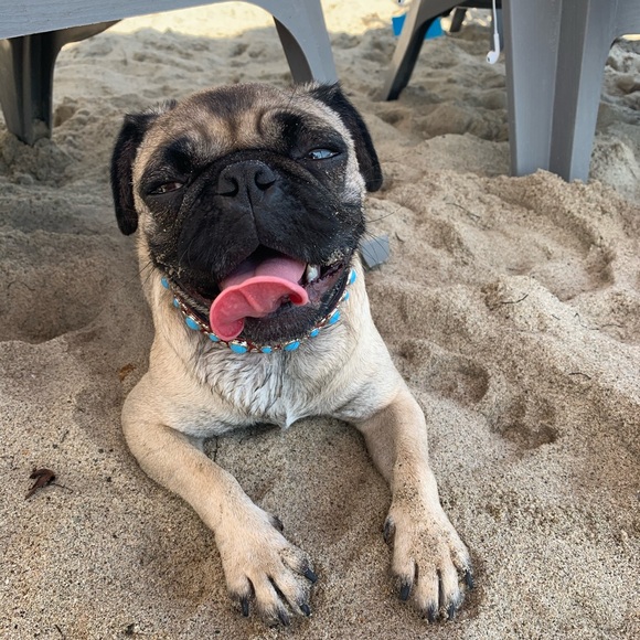 Meet your Posher, Claire - Picture 1 of 1